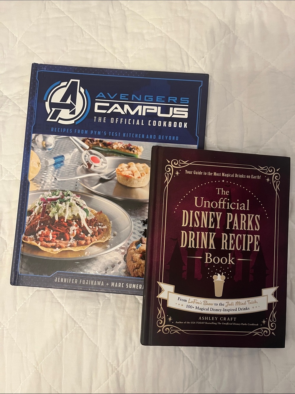 Disney themed cookbook duo